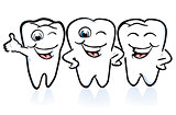 arrangement of the teeth, good conditions