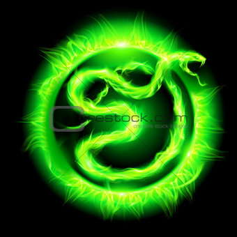 Green fire snake.