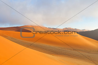 Patterns in the sand of the Namib