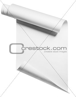 paper roll, isolated