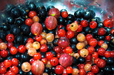 A handful of differentred, white, yellow, black berries