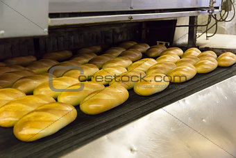 Production of bread in factory