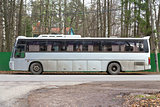 Gray tour bus