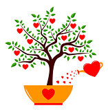 heart tree in pot