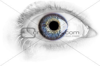 Macro blue eye with lots of details isolated on white