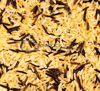 yellow and black wild rice blend 