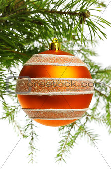 decoration ball on fir branch