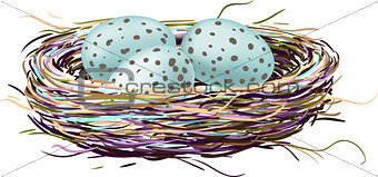 Bird's nest with robin eggs