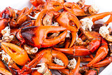 Crab Pincers - boiled