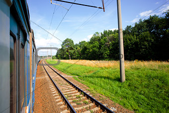 The train speeds along the rails near the forest