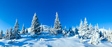 Morning winter mountain landscape (Carpathian, Ukraine)