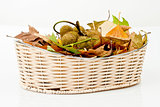 autumn basket