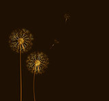 abstract dandelion background  vector illustration