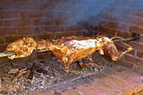 Whole lamb on spit (meat food)