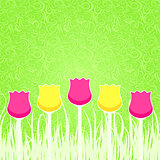 Floral Background with Pink and Yellow Tulips