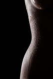 Tempting silhouette of sexy indian female