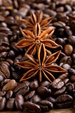 macro shot star anise on a coffee background