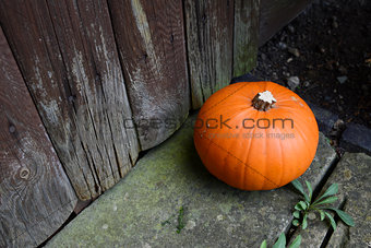 Ripe pumpkin by a weathered door