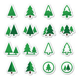 Pine tree vector icons set