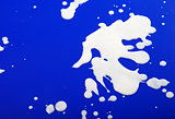 Blots from milk on blue background