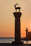 sunrise in Mandraki harbor. Rhodes, Greece 