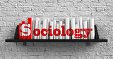 Sociology. Education Concept.