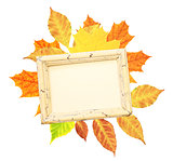 Autumn leaves and wooden frame