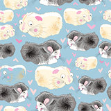 texture hamsters lovers