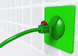 Ladybug on ecological plug