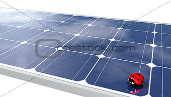 Ladybug on solar panels