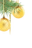 Christmas golden balls on spruce branch.