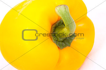 yellow peppers on a white background