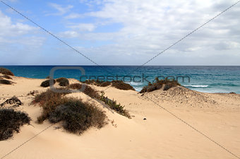 Corralejo natural park (Fuerteventura - Spain)