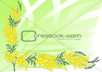 Abstract mimosa branches with background