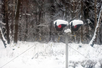 Semaphore near the forest in snowstorm in winter