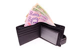 Ukrainian money in purse