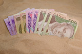 ukrainian money in sand