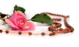 Muslim rosary and pink rose on a white background