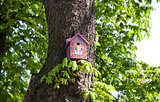 Pink nesting box