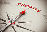 Profits Growth - Make Money