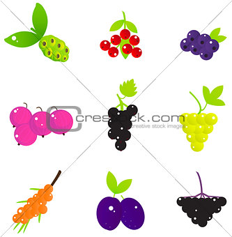 Summer Fruit and Berries set isolated on white
