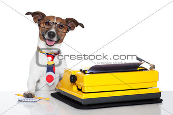 business dog typewriter