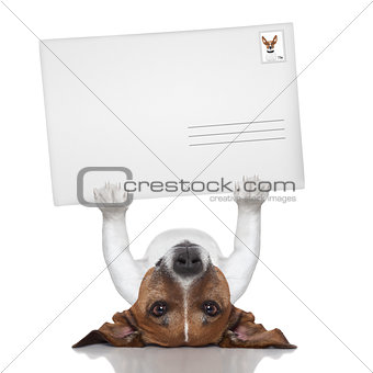mail dog 