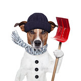  winter dog shovel snow