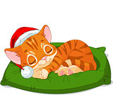 Christmas Kitten Sleeping