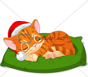 Christmas Kitten Sleeping