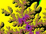 fractal coral on a yellow background