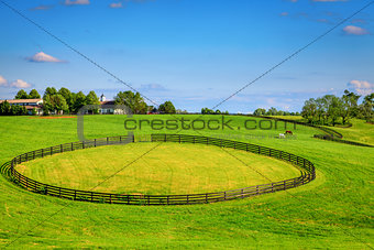 Horse farm fences