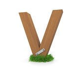 Wooden letter V in the grass