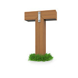 Wooden letter T in the grass